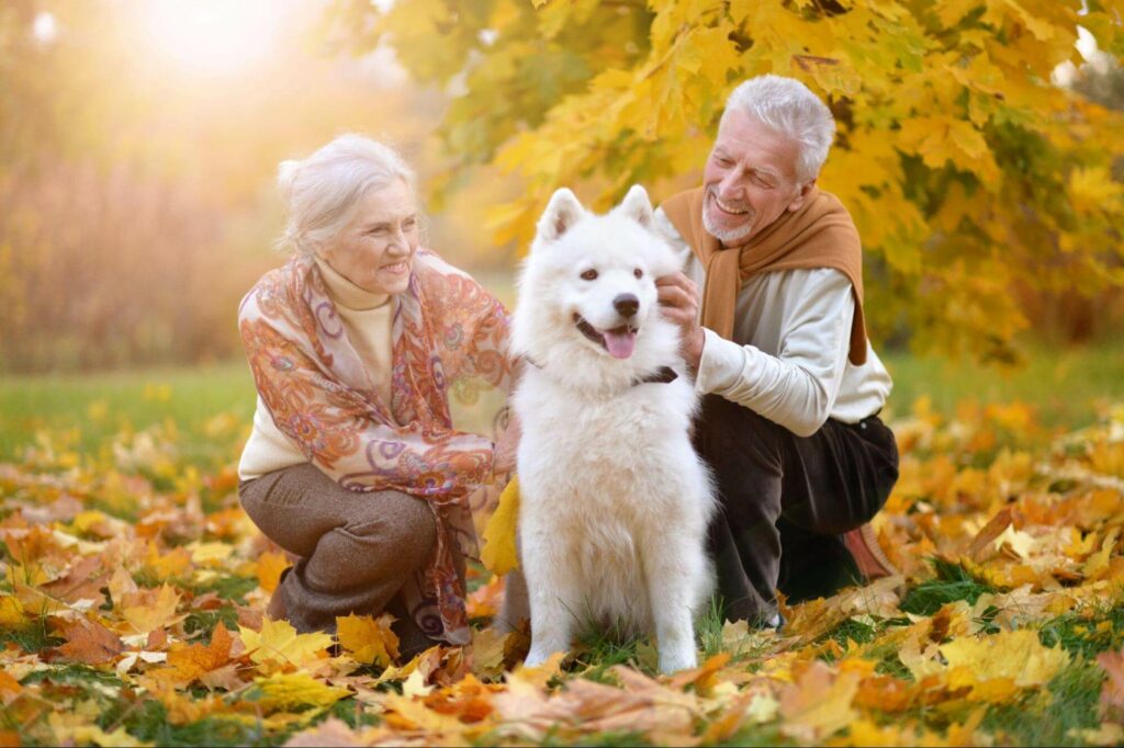 An older couple enjoys a walk with their dog on a beautiful fall day. It’s important to recognize when a senior citizen can no longer properly care for their pets.