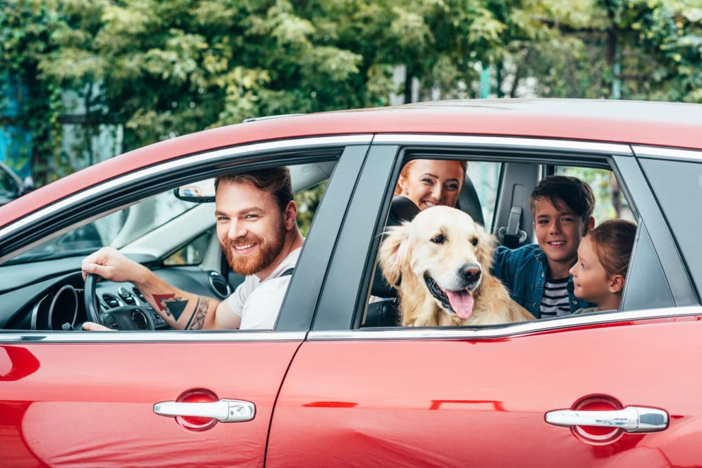 A family takes their pet for drive