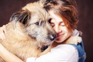 Adopting older dogs from animal shelters.