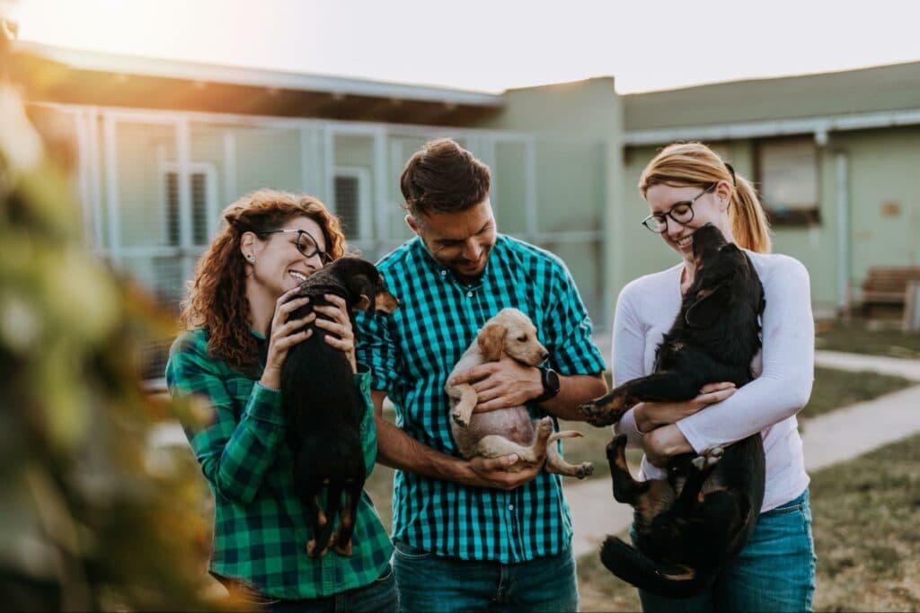 A team of shelter volunteeers and play and snuggle with dogs who are searching for their forever family. Rescue dogs are looking for loving homes.