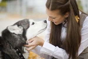 Husky with owner