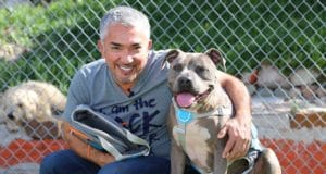 Cesar Millan with a pit bull