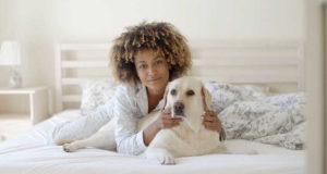 Dog laying down in bed with you - woman with dog - Cesar’s Way