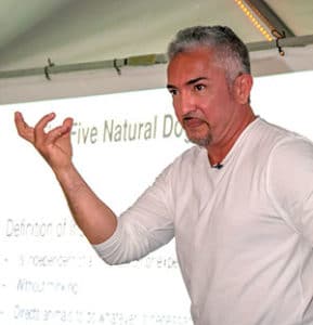 Cesar Millan teaching the 5 natural dog laws