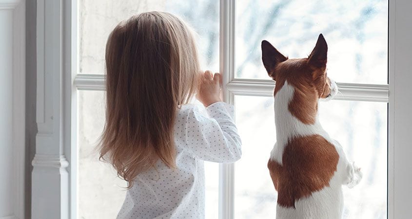 A little girl and her dog look out the window