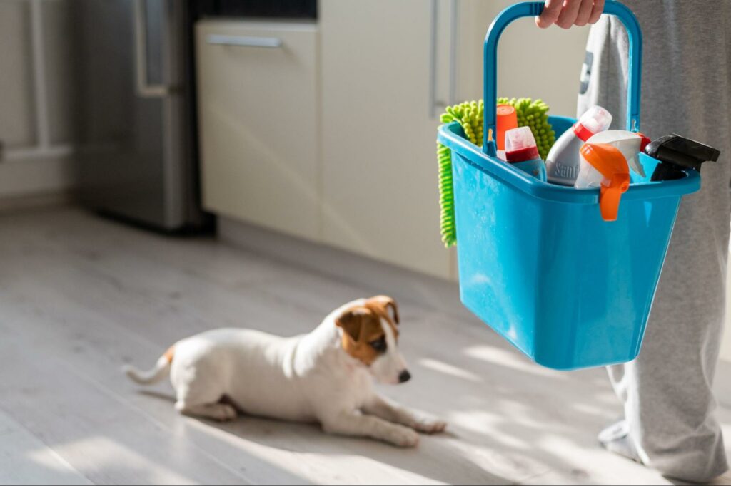 A pet owner uses safe cleaning products to clean his home. Learn how to keep your home clean and tips for making this task easier.
