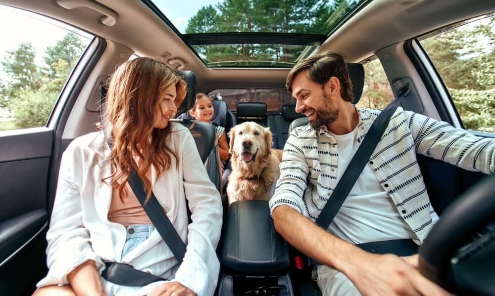 A family heads out on a road trip with their family pet. The dog is more comfortable in the middle seat looking forward to prevent motion sickness
