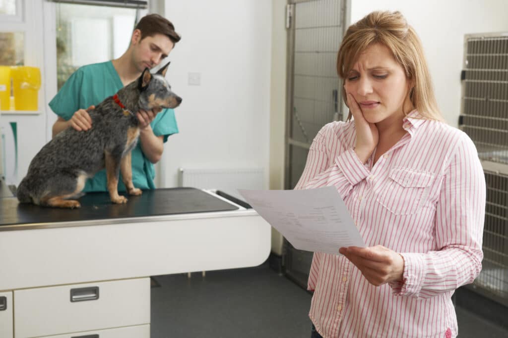A woman examines her dogs recent visit to the veterinarian's office
