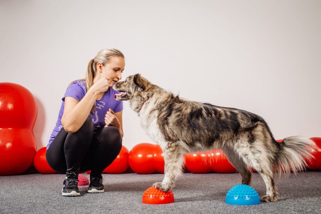 A dog trainer spends one on one time training