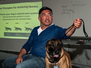 Cesar Millan sits with calm dog and teaches training lessons to others. 