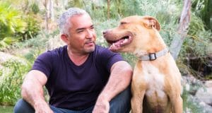 Cesar Millan sits with his dog after a walk