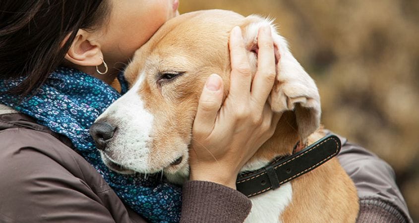 a woman hugs a sad dog