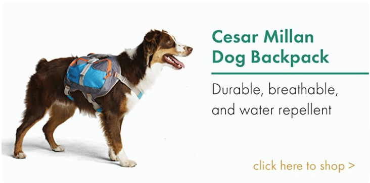 Dog Backpack Cesar Millan
