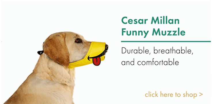 Funny Muzzle Cesar Millan